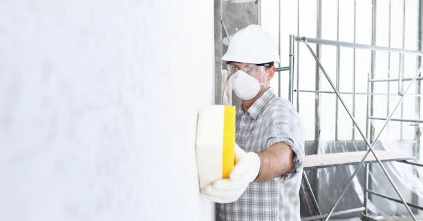 Reliable Galt, CA Mold Removal Services Solutions